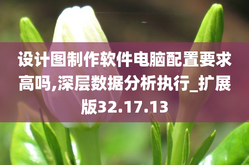 设计图制作软件电脑配置要求高吗,深层数据分析执行_扩展版32.17.13