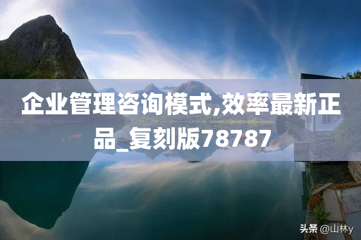 企业管理咨询模式,效率最新正品_复刻版78787