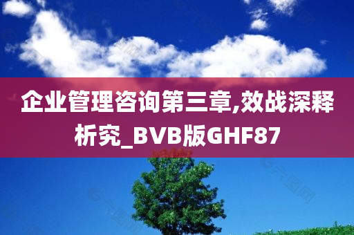 企业管理咨询第三章,效战深释析究_BVB版GHF87