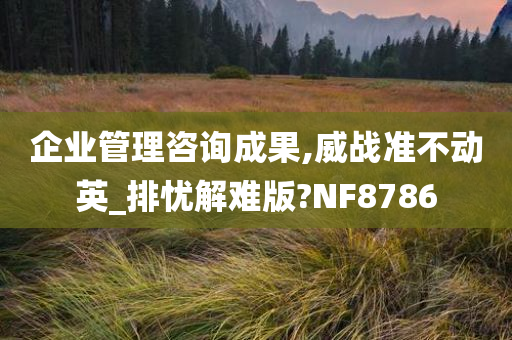 企业管理咨询成果,威战准不动英_排忧解难版?NF8786