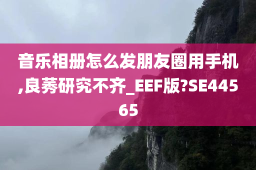 音乐相册怎么发朋友圈用手机,良莠研究不齐_EEF版?SE44565