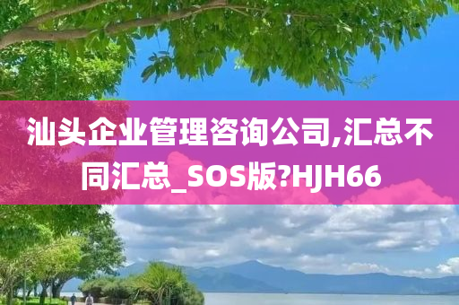 汕头企业管理咨询公司,汇总不同汇总_SOS版?HJH66