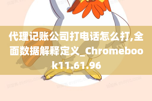 代理记账公司打电话怎么打,全面数据解释定义_Chromebook11.61.96