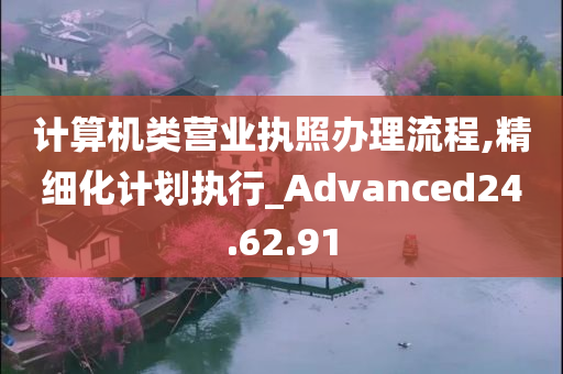 计算机类营业执照办理流程,精细化计划执行_Advanced24.62.91