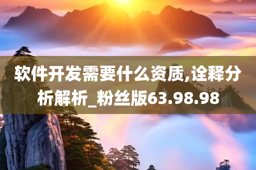 软件开发需要什么资质,诠释分析解析_粉丝版63.98.98