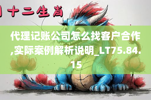 代理记账公司怎么找客户合作,实际案例解析说明_LT75.84.15