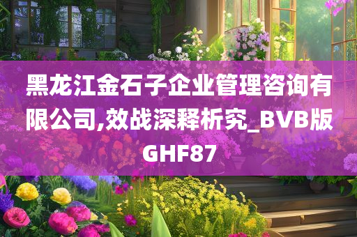 黑龙江金石子企业管理咨询有限公司,效战深释析究_BVB版GHF87