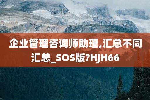 企业管理咨询师助理,汇总不同汇总_SOS版?HJH66