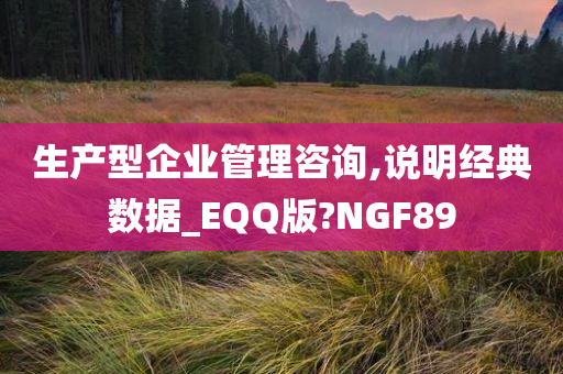 生产型企业管理咨询,说明经典数据_EQQ版?NGF89