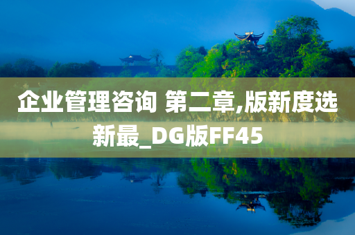 企业管理咨询 第二章,版新度选新最_DG版FF45