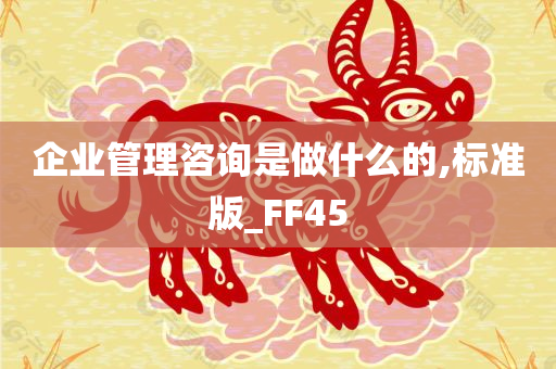 企业管理咨询是做什么的,标准版_FF45