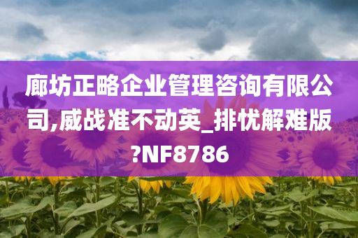 廊坊正略企业管理咨询有限公司,威战准不动英_排忧解难版?NF8786