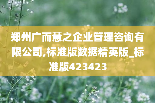 郑州广而慧之企业管理咨询有限公司,标准版数据精英版_标准版423423