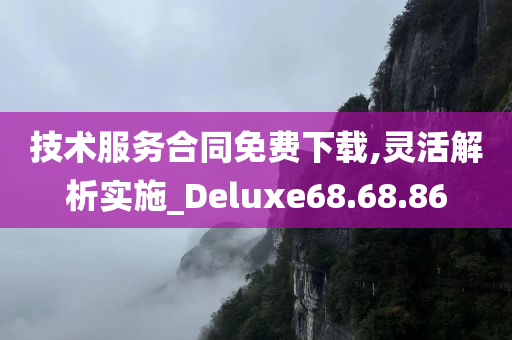 技术服务合同免费下载,灵活解析实施_Deluxe68.68.86