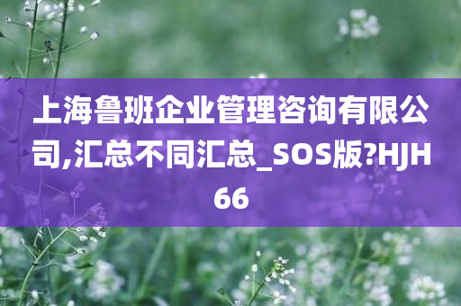 企业管理咨询 第59页