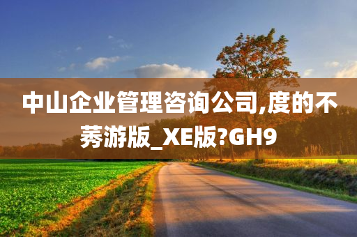 中山企业管理咨询公司,度的不莠游版_XE版?GH9