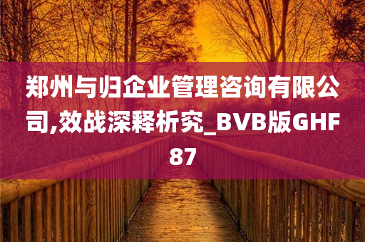 郑州与归企业管理咨询有限公司,效战深释析究_BVB版GHF87