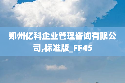 郑州亿科企业管理咨询有限公司,标准版_FF45