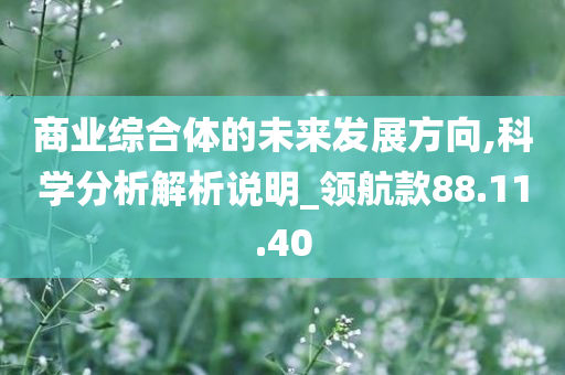 商业综合体的未来发展方向,科学分析解析说明_领航款88.11.40