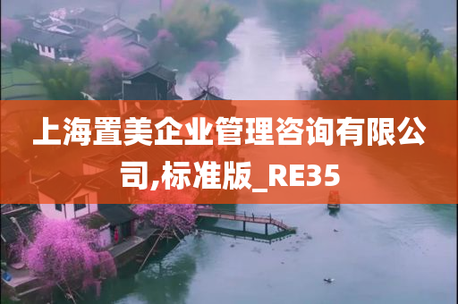 上海置美企业管理咨询有限公司,标准版_RE35