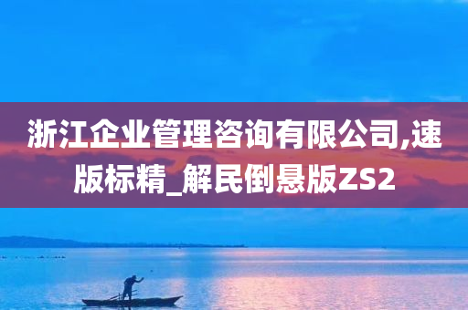 浙江企业管理咨询有限公司,速版标精_解民倒悬版ZS2