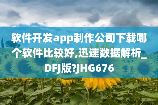 软件开发app制作公司下载哪个软件比较好,迅速数据解析_DFJ版?JHG676