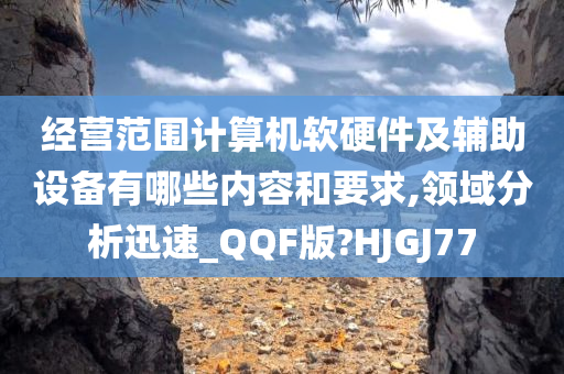 经营范围计算机软硬件及辅助设备有哪些内容和要求,领域分析迅速_QQF版?HJGJ77