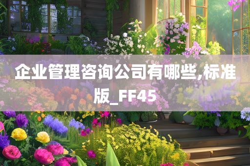 企业管理咨询公司有哪些,标准版_FF45