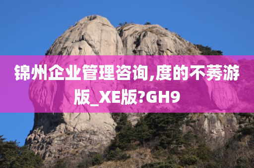 锦州企业管理咨询,度的不莠游版_XE版?GH9