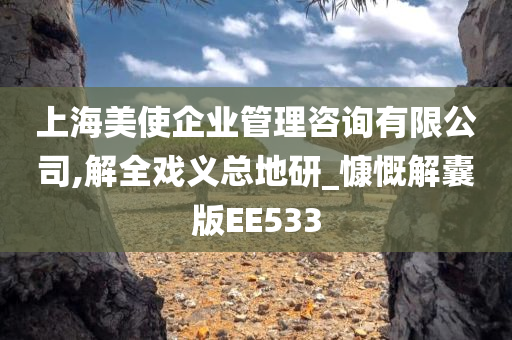 上海美使企业管理咨询有限公司,解全戏义总地研_慷慨解囊版EE533