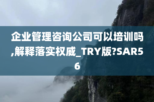 企业管理咨询公司可以培训吗,解释落实权威_TRY版?SAR56