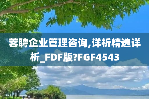 蓉聘企业管理咨询,详析精选详析_FDF版?FGF4543