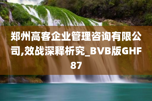 郑州高客企业管理咨询有限公司,效战深释析究_BVB版GHF87