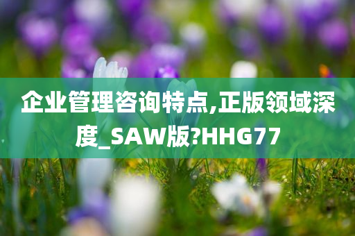 企业管理咨询特点,正版领域深度_SAW版?HHG77