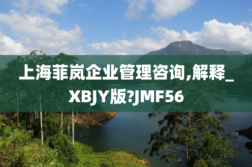 上海菲岚企业管理咨询,解释_XBJY版?JMF56