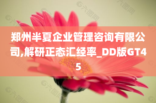 郑州半夏企业管理咨询有限公司,解研正态汇经率_DD版GT45