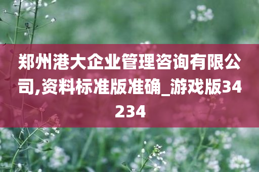 郑州港大企业管理咨询有限公司,资料标准版准确_游戏版34234