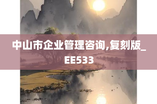 中山市企业管理咨询,复刻版_EE533