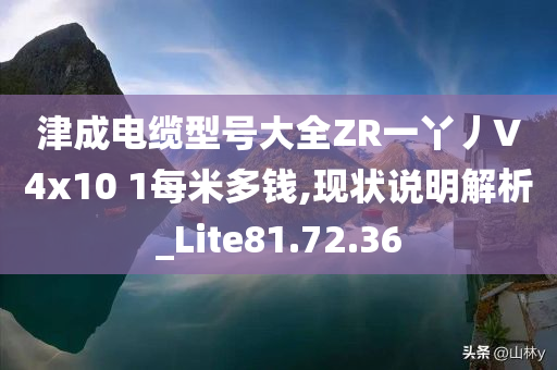 津成电缆型号大全ZR一丫丿V4x10 1每米多钱,现状说明解析_Lite81.72.36