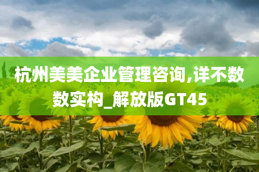 杭州美美企业管理咨询,详不数数实构_解放版GT45