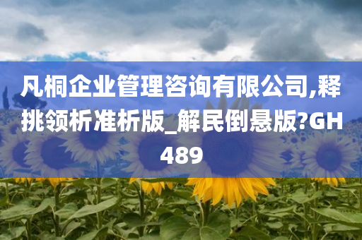 凡桐企业管理咨询有限公司,释挑领析准析版_解民倒悬版?GH489