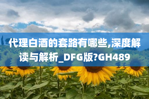 代理白酒的套路有哪些,深度解读与解析_DFG版?GH489