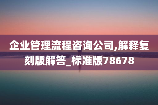 企业管理流程咨询公司,解释复刻版解答_标准版78678