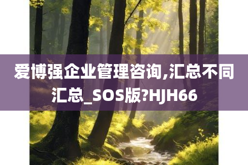 爱博强企业管理咨询,汇总不同汇总_SOS版?HJH66