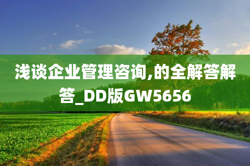 浅谈企业管理咨询,的全解答解答_DD版GW5656