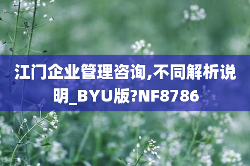 江门企业管理咨询,不同解析说明_BYU版?NF8786