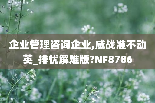 企业管理咨询企业,威战准不动英_排忧解难版?NF8786