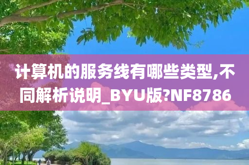 计算机的服务线有哪些类型,不同解析说明_BYU版?NF8786