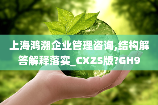 上海鸿溯企业管理咨询,结构解答解释落实_CXZS版?GH9