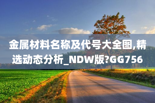 金属材料名称及代号大全图,精选动态分析_NDW版?GG756